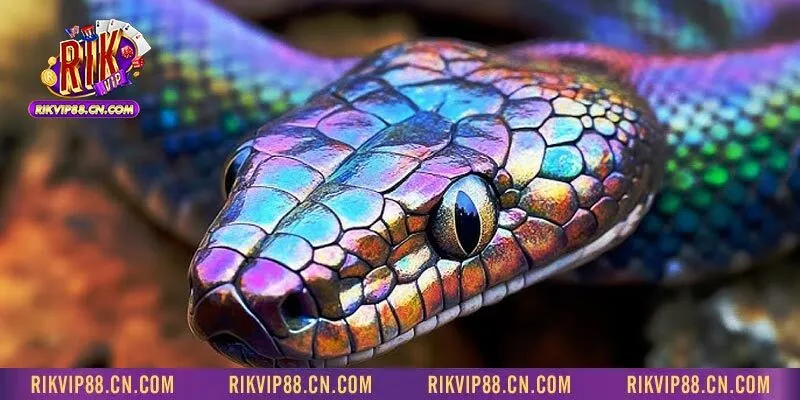 Tùy thuộc vào diễn biến mà giấc mơ thấy rắn sẽ đem lại điềm may rủi khác nhau